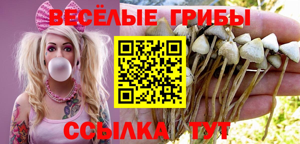 Галлюциногенные грибы Psilocybine cubensis  Галлюциногенные грибы MAGIC MUSHROOMS  Вход с VPN  Озёрск 