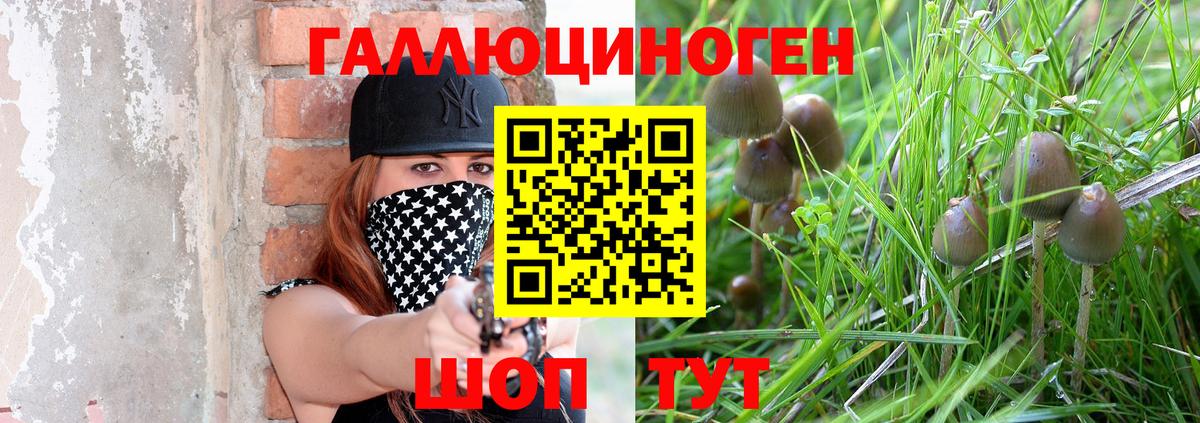 Псилоцибиновые грибы мухоморы Озёрск